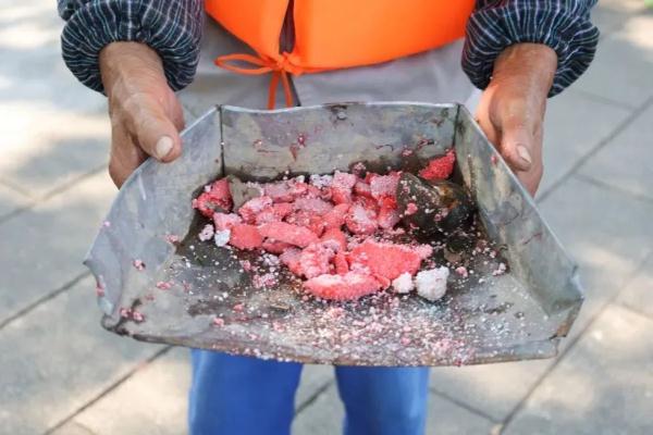 多地已出现！别触碰，严重或致人死亡！