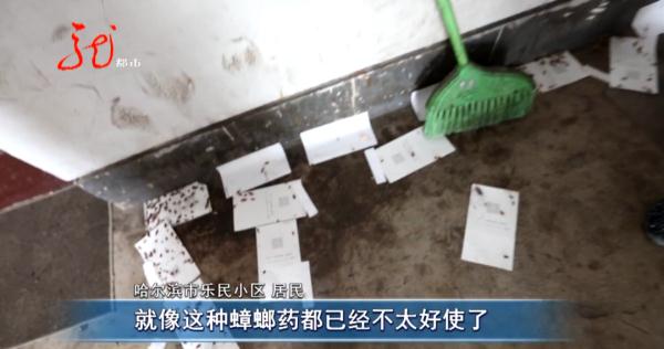 小区楼道里的生物让人头皮发麻,居民不敢回家...... 小区楼道里的生物让人头皮发麻,居民不敢回家......