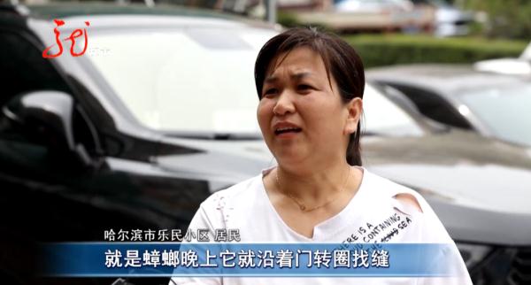 小区楼道里的生物让人头皮发麻,居民不敢回家...... 小区楼道里的生物让人头皮发麻,居民不敢回家......