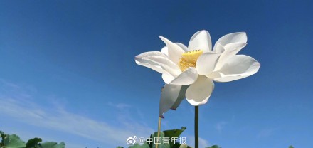 为什么有的人吃饭总是剩一口？