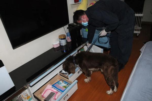 警犬冷知识：缉毒犬养成手册
