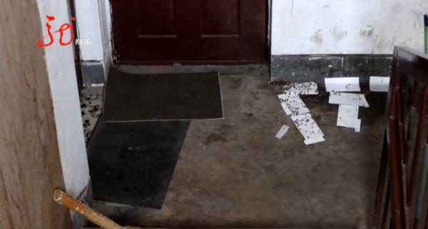 小区楼道里的生物让人头皮发麻,居民不敢回家...... 小区楼道里的生物让人头皮发麻,居民不敢回家......