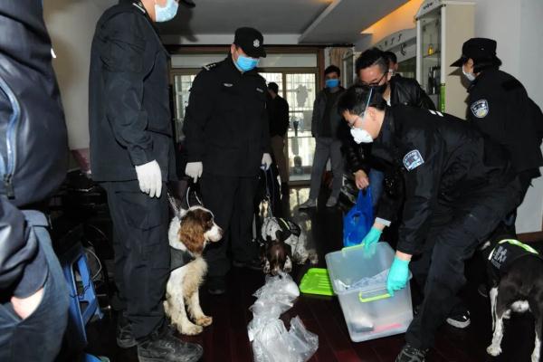 警犬冷知识：缉毒犬养成手册