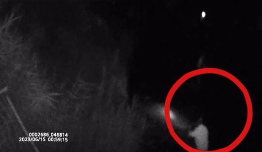 凌晨1点，他们3人接连跳入水中……