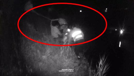 凌晨1点，他们3人接连跳入水中……