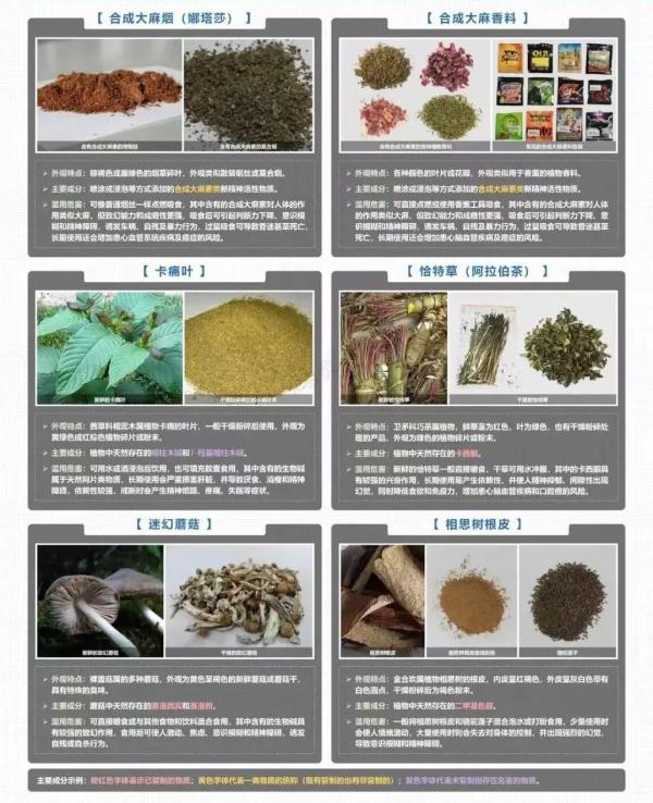 广东一男子要钱买毒品遭拒，殴打父亲致其死亡...