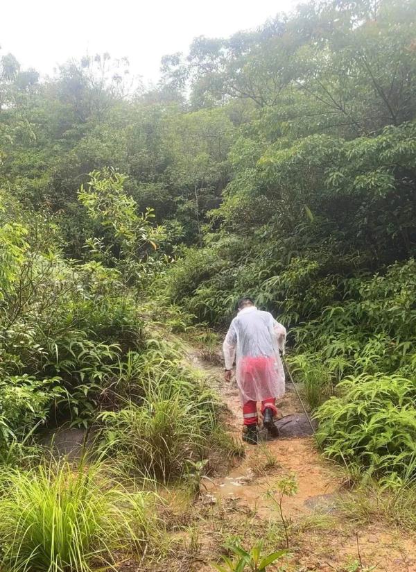 愿平安！广东一10岁男童走失已超8天，目前正全力组织搜救