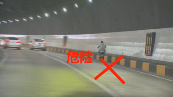 厦门:林某,女,被抓了!这事千万别干 厦门:林某,女,被抓了!这事千万别干