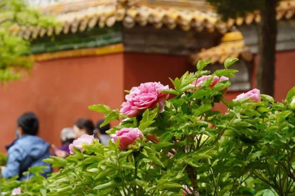 在中轴线制高点执勤,什么体验? 在中轴线制高点执勤,什么体验?