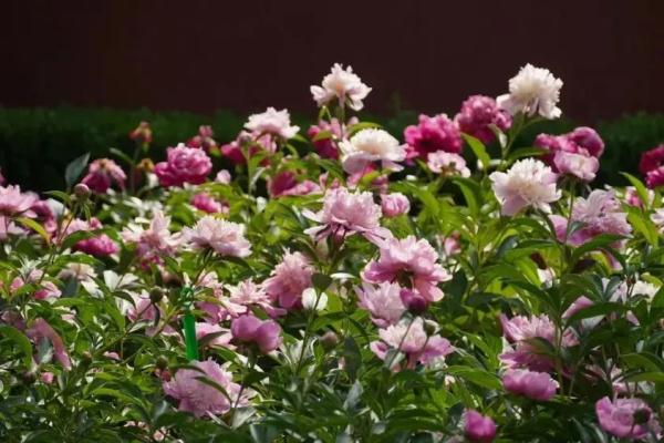 在中轴线制高点执勤,什么体验? 在中轴线制高点执勤,什么体验?