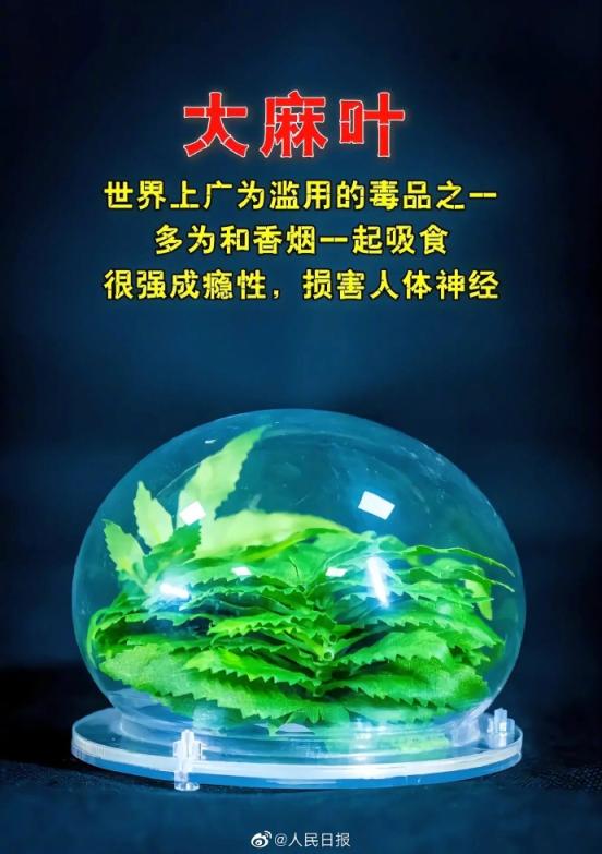 请警惕！伪装果冻、糖果……那些只是看起来人畜无害的毒品
