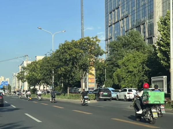 闯红灯、逆行、醉驾…事故频发！街头这种车，不应再“任性驰骋”
