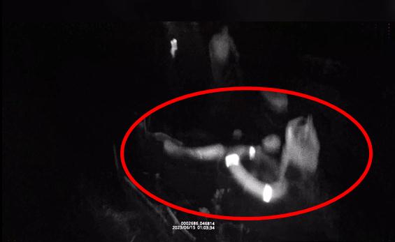 凌晨1点，他们3人接连跳入水中……