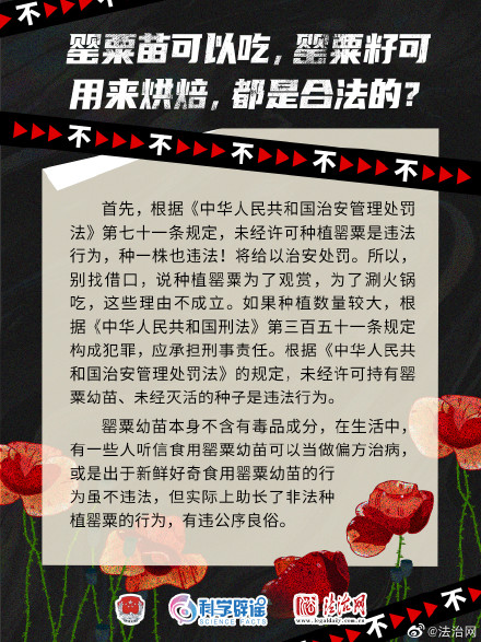 识破毒品谣言 对毒品坚决说不！