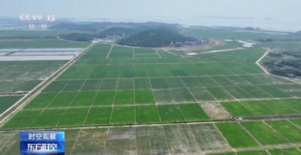18亿亩耕地红线如何严守？3个问题带你了解