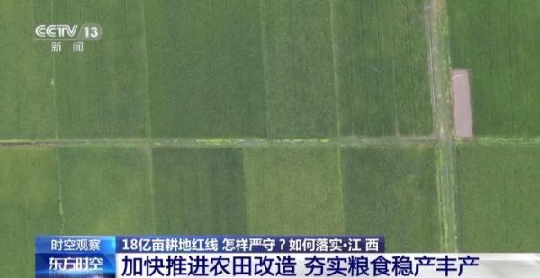 18亿亩耕地红线如何严守？3个问题带你了解