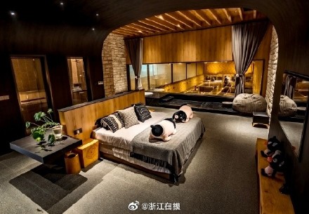 浙江猪景房8888元一晚送一头150斤生猪 浙江猪景房8888元一晚送一头150斤生猪