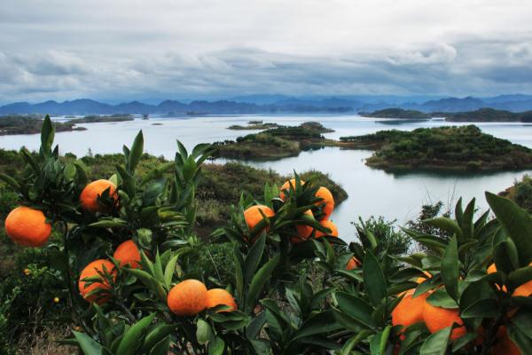 追光｜赏千岛湖美景的绝佳方式？在亚运赛道来一场骑行