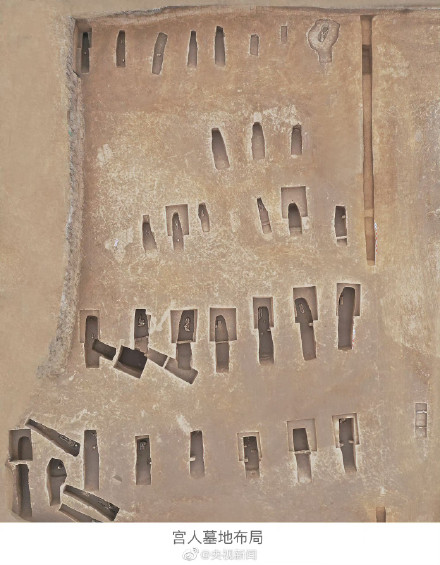 西安2年考古发掘1200余座墓葬