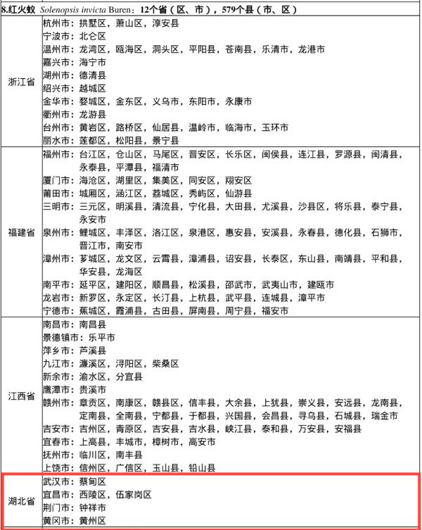 看到这种小土堆，千万别踩！