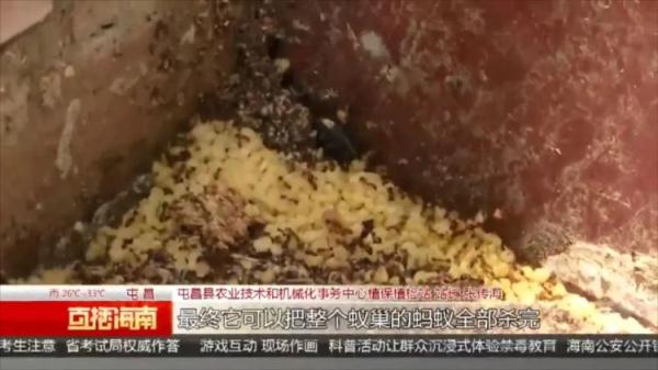 严重可致死！看到千万警惕，多名村民被咬伤