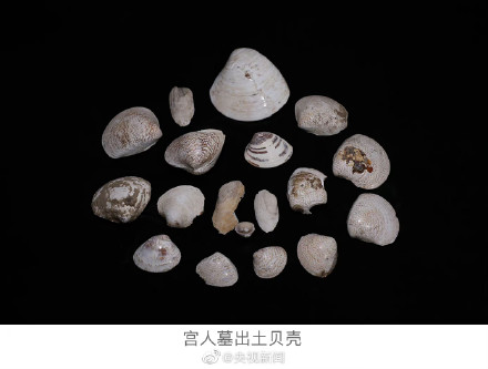 西安2年考古发掘1200余座墓葬