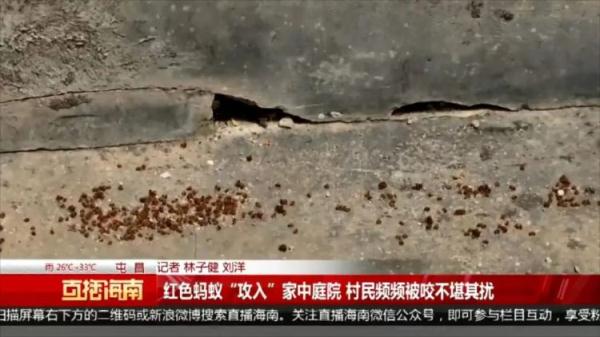 严重可致死！看到千万警惕，多名村民被咬伤