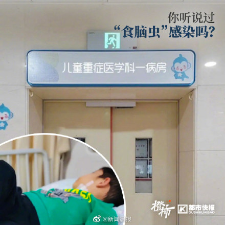 食脑虫进入人体有两种途径,提醒:别在不干净的水中游泳 食脑虫进入人体有两种途径,提醒:别在不干净的水中游泳