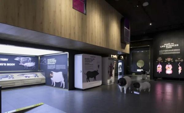 8888元一晚,送一头生猪!“猪景房”值得住吗? 8888元一晚,送一头生猪!“猪景房”值得住吗?