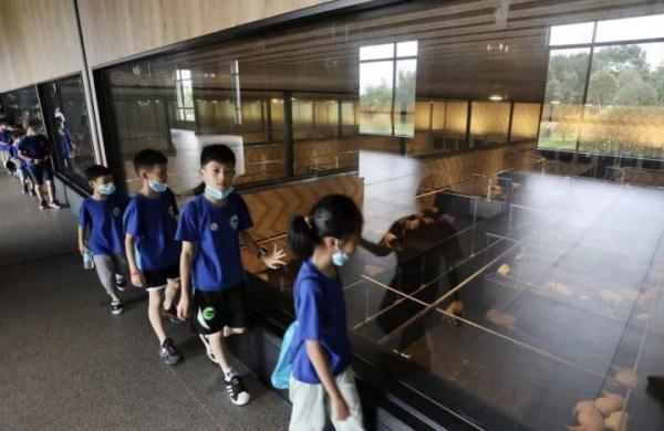 8888元一晚,送一头生猪!“猪景房”值得住吗? 8888元一晚,送一头生猪!“猪景房”值得住吗?