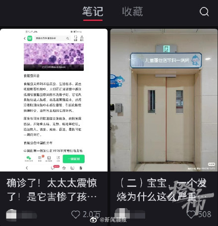 食脑虫进入人体有两种途径,提醒:别在不干净的水中游泳 食脑虫进入人体有两种途径,提醒:别在不干净的水中游泳