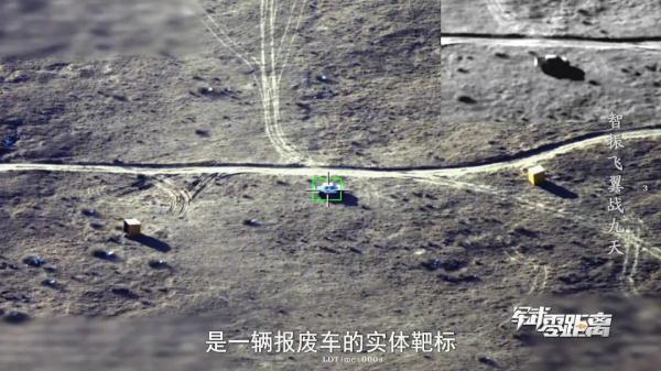 罕见画面！“双尾蝎”上演猎杀时刻→