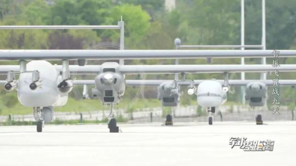 罕见画面！“双尾蝎”上演猎杀时刻→