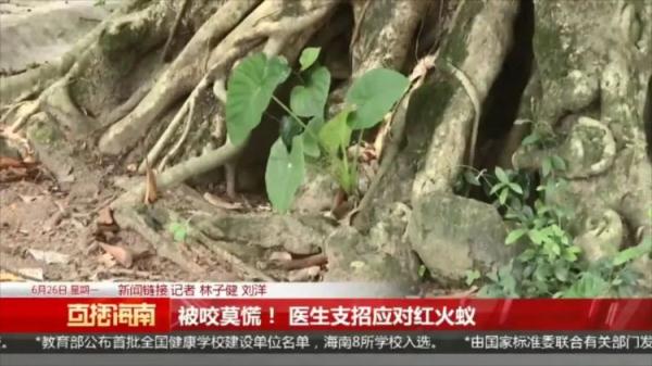 严重可致死！看到千万警惕，多名村民被咬伤