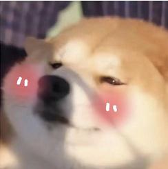 与学生合照时意外被亲！钟南山巧妙化解→