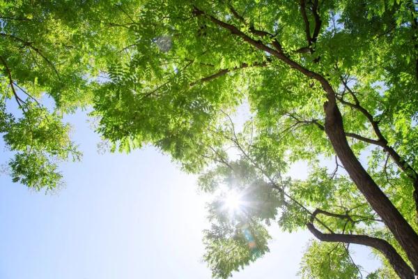 冰雹、短时暴雨正在赶来！浙江明起高温回归，最高温达36℃