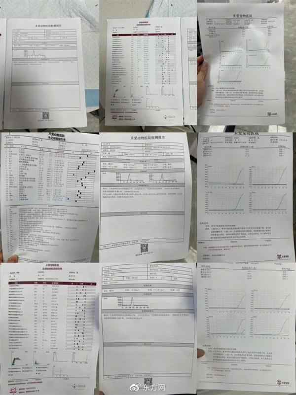 救助流浪猫引纠纷,上海大学生被造黄谣,当事人道歉2小时就撤回,理由竟是“违约”? 救助流浪猫引纠纷,上海大学生被造黄谣,当事人道歉2小时就撤回,理由竟是“违约”?