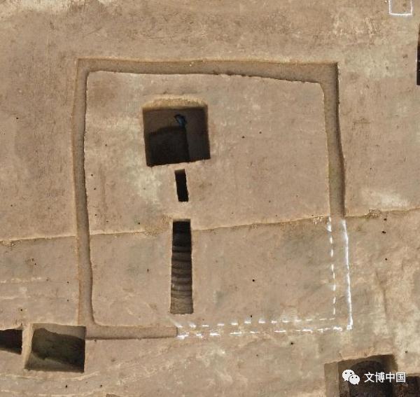 西安西郊有重要发现→