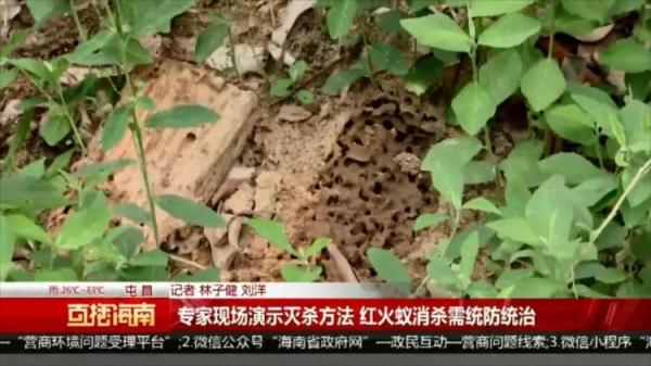 严重可致死！看到千万警惕，多名村民被咬伤