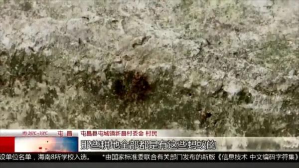 严重可致死！看到千万警惕，多名村民被咬伤