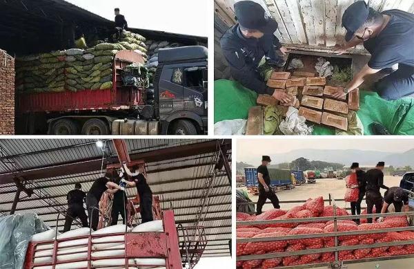 严厉打击！昆明公安抓获犯罪嫌疑人328名！