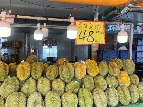 20多元一公斤!价格腰斩,昆明正大量上市 20多元一公斤!价格腰斩,昆明正大量上市