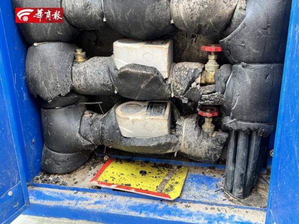 小区大量水表箱成老鼠窝，业主表示很膈应！自来水公司回应