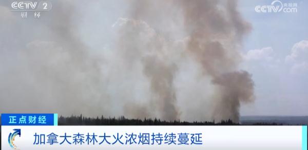 史上最严重一年!这个国家,超7.6万平方公里土地被烧毁!257处处于“失控状态” 史上最严重一年!这个国家,超7.6万平方公里土地被烧毁!257处处于“失控状态”