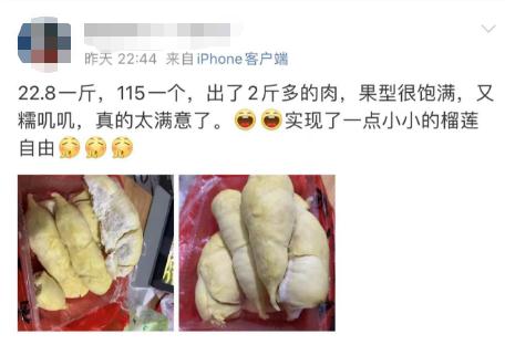 20多元一公斤!价格腰斩,昆明正大量上市 20多元一公斤!价格腰斩,昆明正大量上市