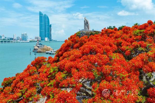 痛别！她走了，曾创作鼓浪屿郑成功石雕像