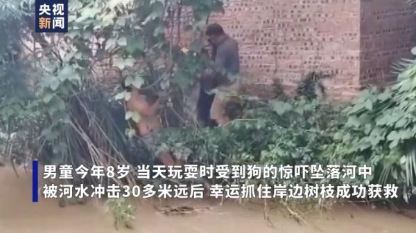 8岁男孩不慎坠河紧抓树枝呼救 众人合力将其救出