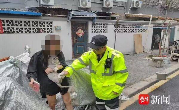 猫咪从五楼家中跳窗 “逃离”，“铲屎官”出差回家后报警求助……