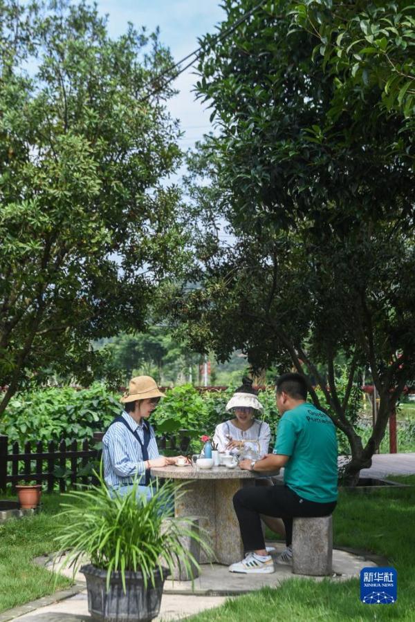 特色民宿集群助力乡村振兴