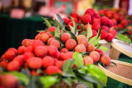 广州荔枝进入优质品种上市季：桂味10-12元/斤、糯米糍14-16元/斤